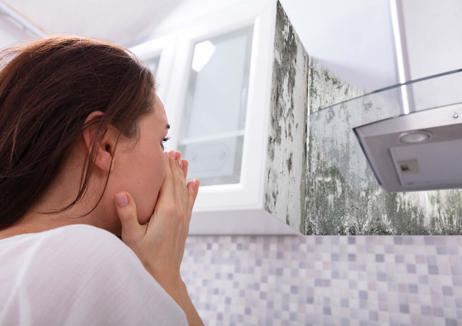 Mold Or Dirt In Your Home 11 Places You Need To Check