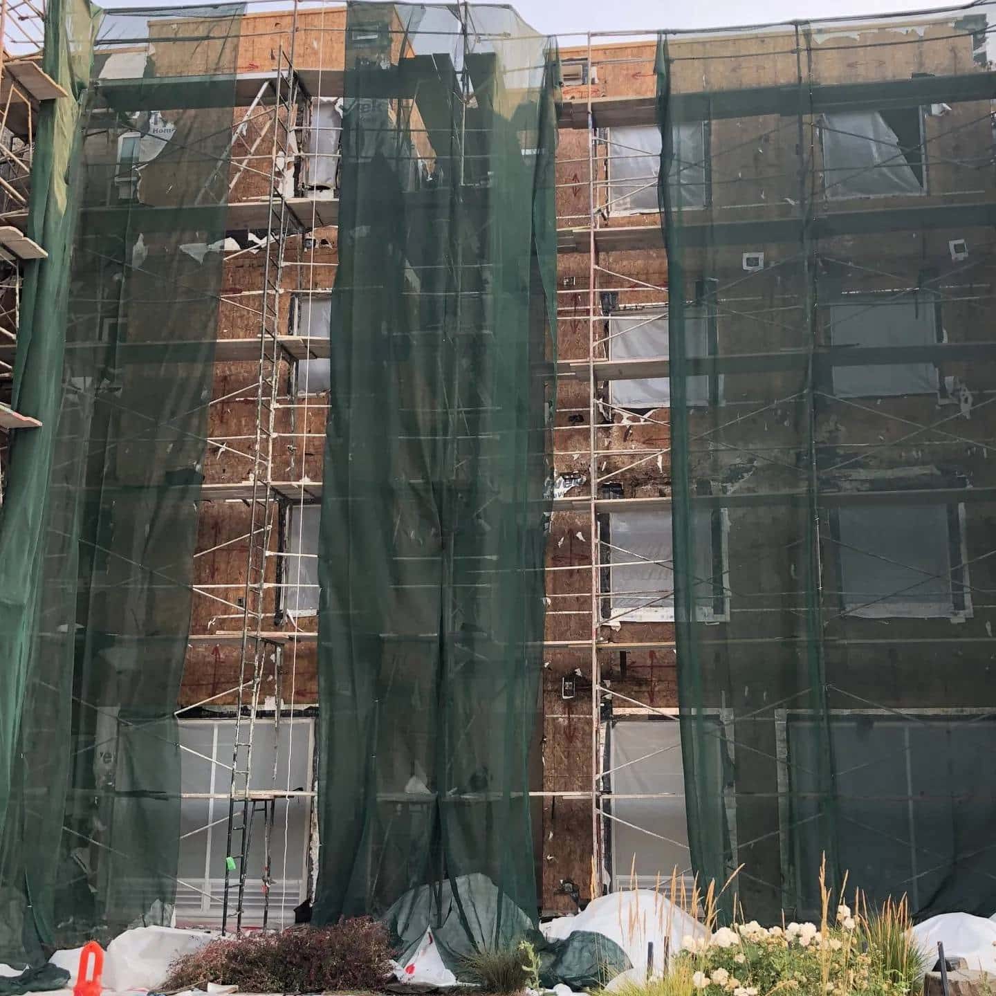 2018+Uc+Davis+Pine+Hall-1440W Mold Removal